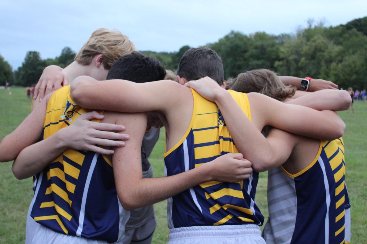Excellent XC: photos from race day