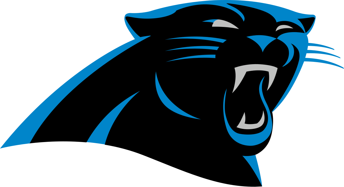 Outlook on the Panthers Season